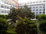 大院景观
