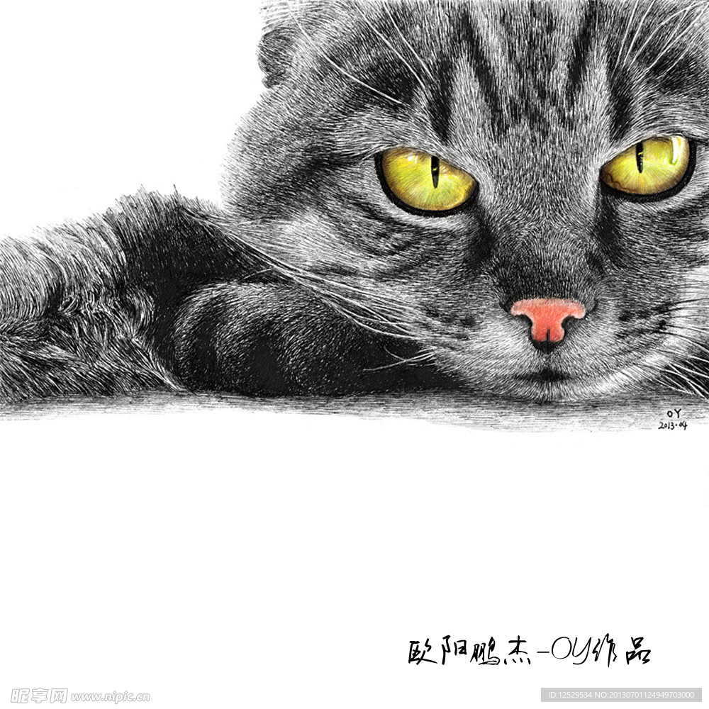 圆珠笔绘画猫
