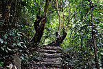 山间小路