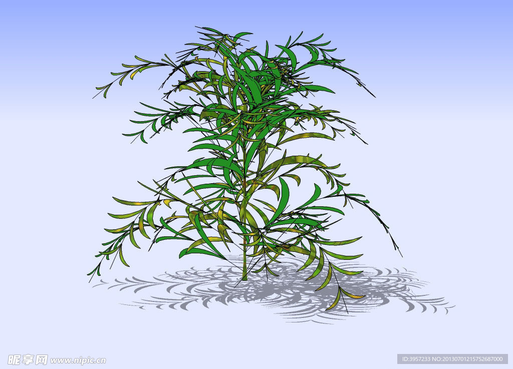竹子3D模型