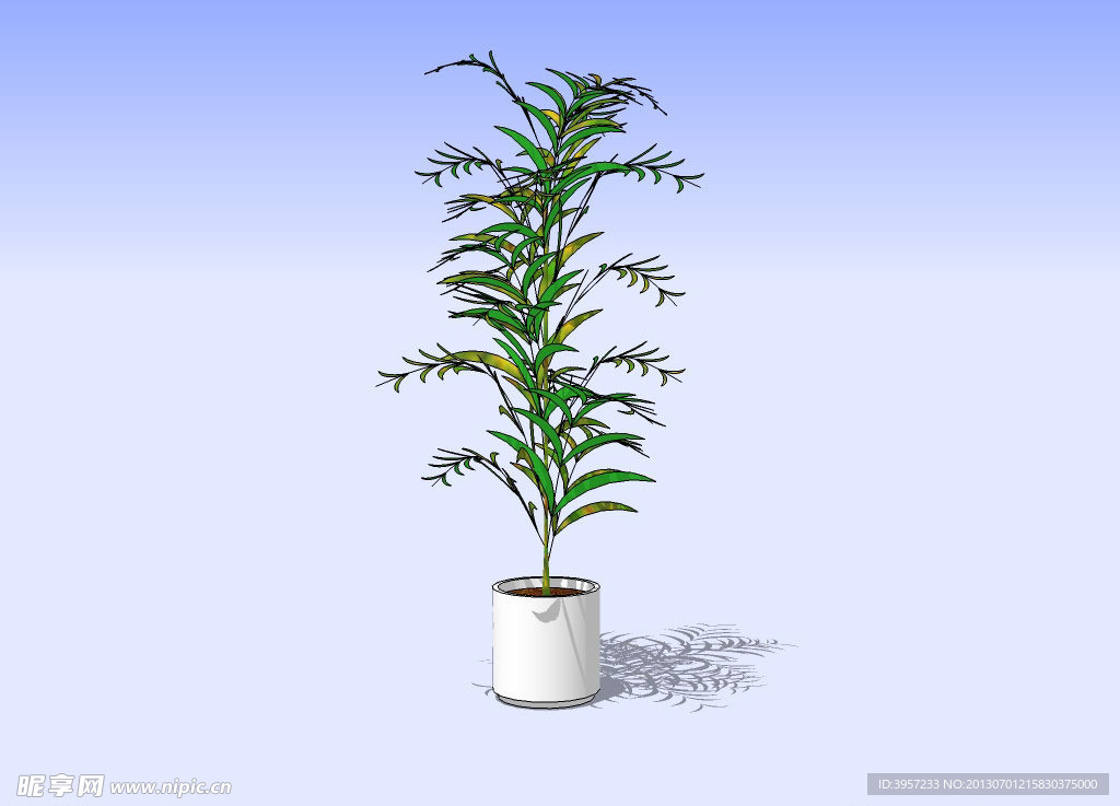 盆景3D模型