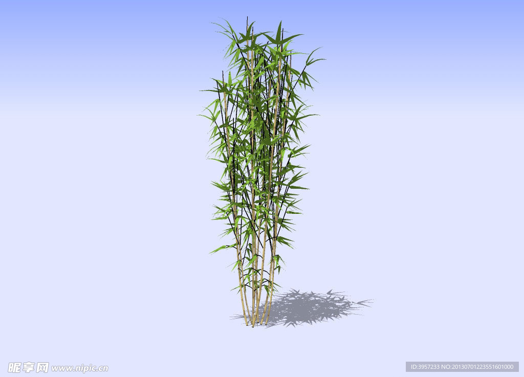 竹子3D模型