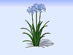 花草3D模型