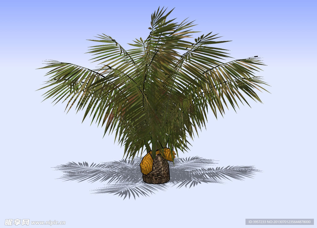 花草3D模型