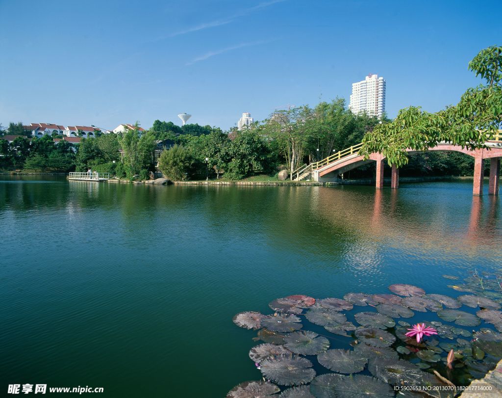 景观后期效果图