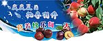 夏天桃李吊旗