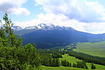 雪山森林