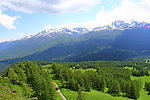 雪山草地