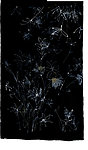 服装花纹 面料