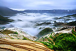 雨后田园