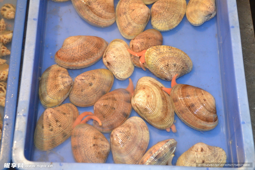 美食