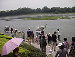 象鼻山公园一瞥