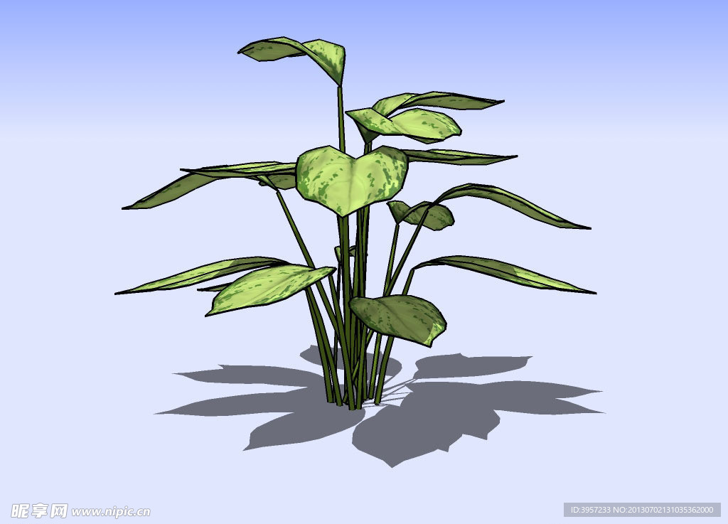 花草3D模型