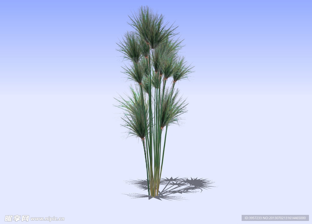 花草3D模型