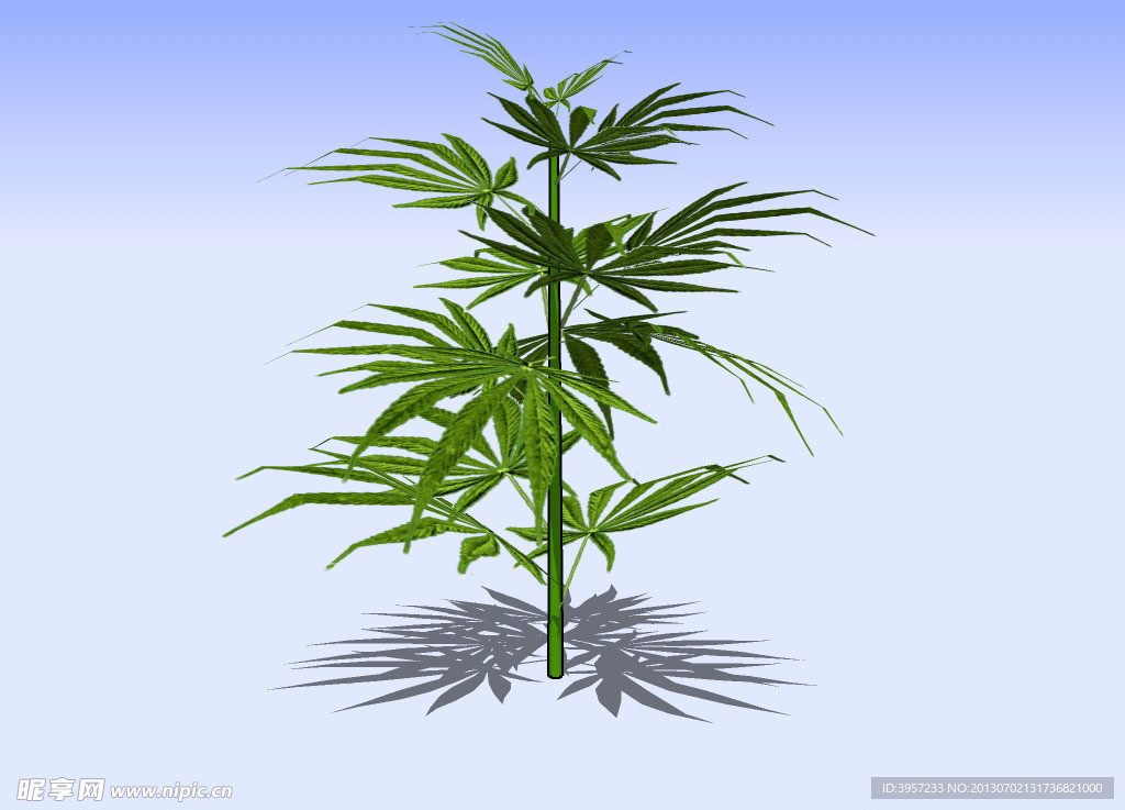 花草3D模型