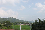 蓝天绿野