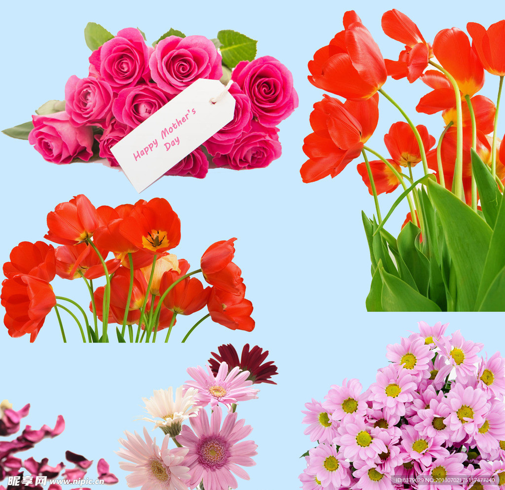 鲜花