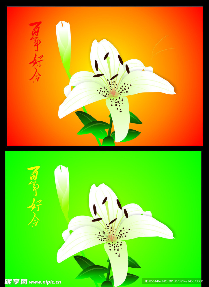 百合花