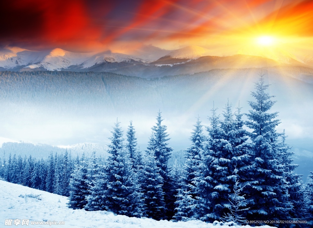 雪地夕阳