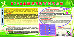 禽流感板报