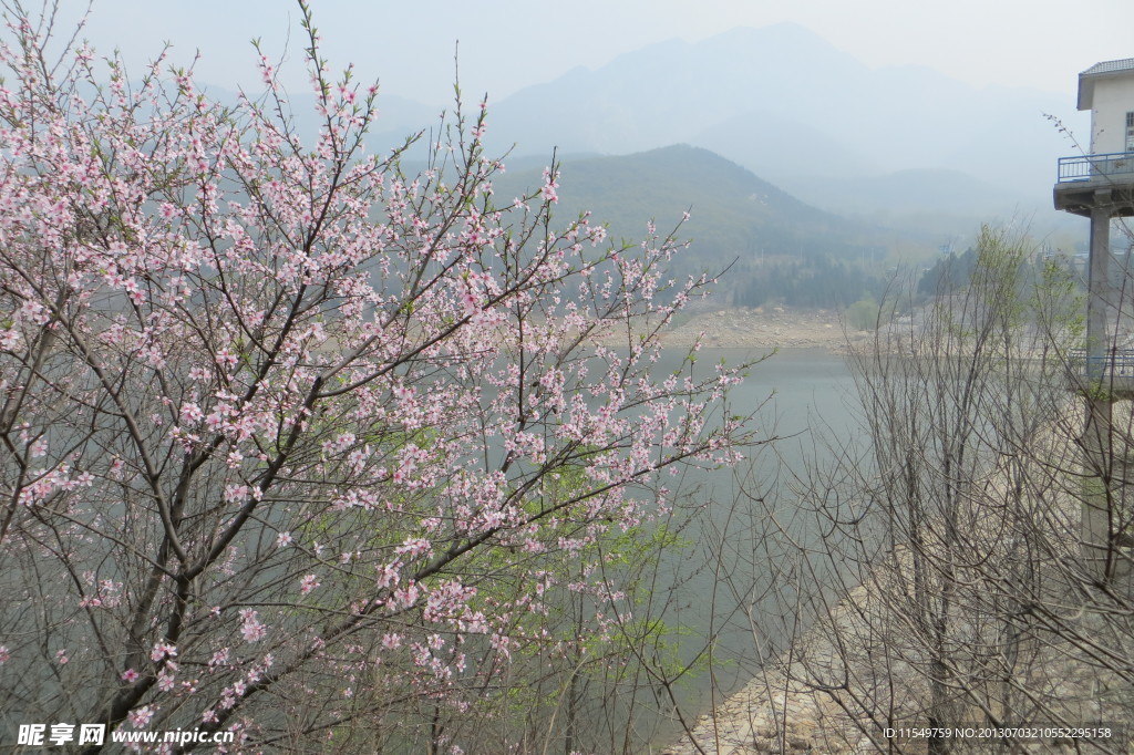 少林水库春日