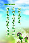 素食格言