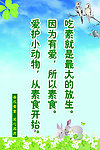 素食格言