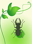 虫子