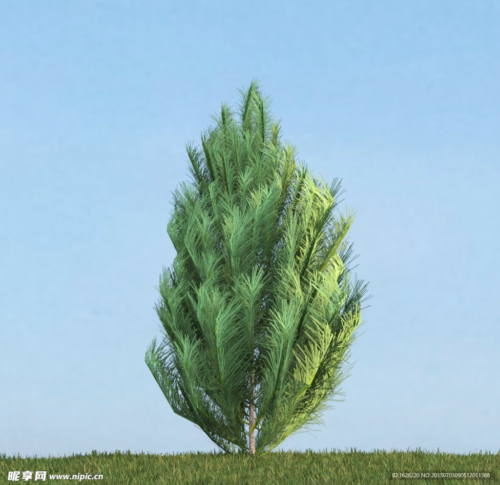 树木植物模型