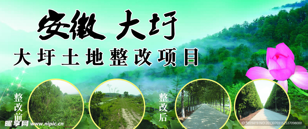 荷花 户外海报