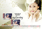 2014婚纱模板台历