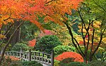 自然风光