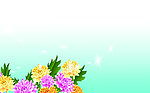 花朵 手绘花朵