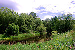 十九公里牧点风景