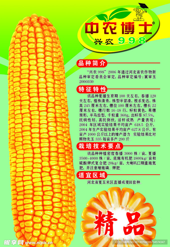 玉米种子海报