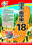 玉米了海报