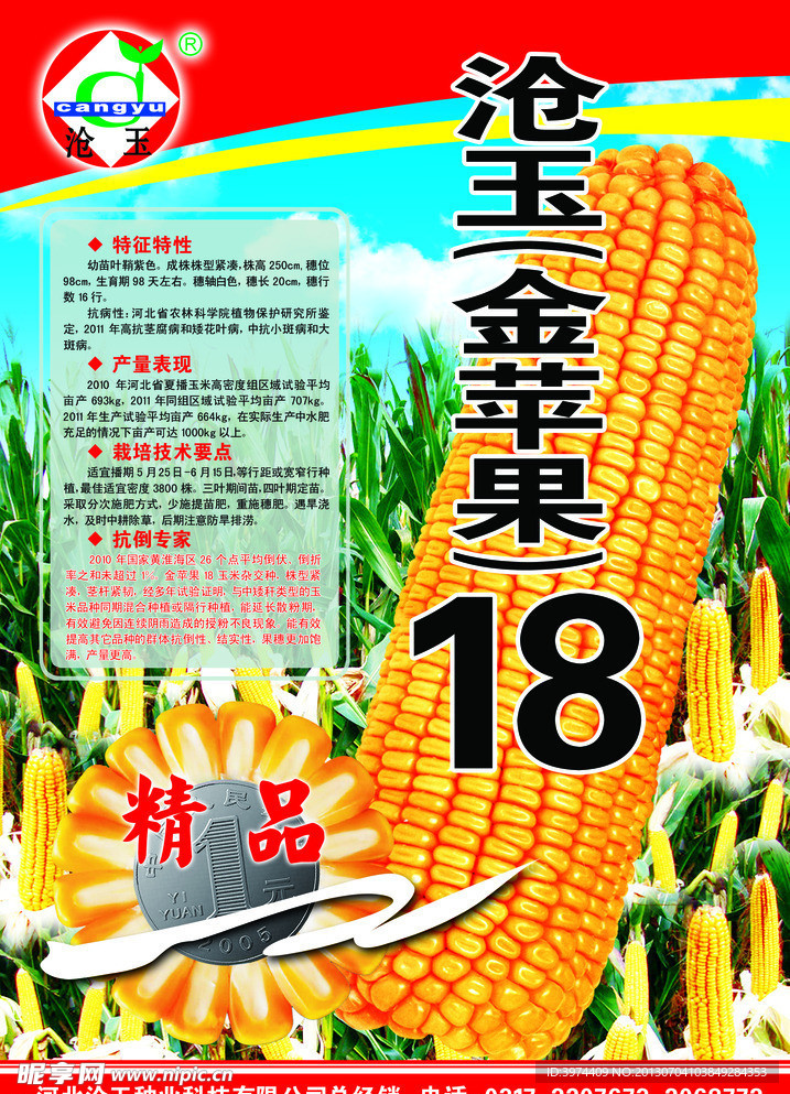 玉米了海报