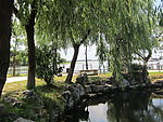 柳岸