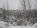 雪景