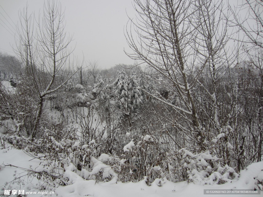 雪景