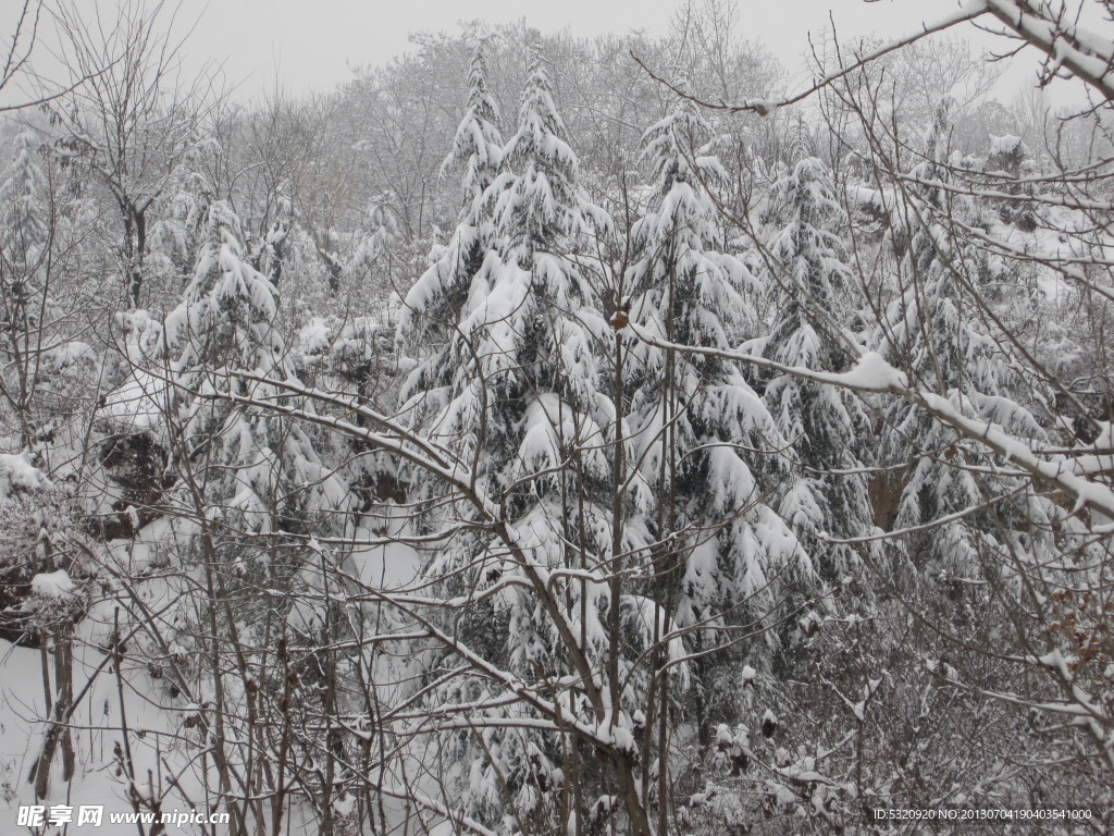 雪景