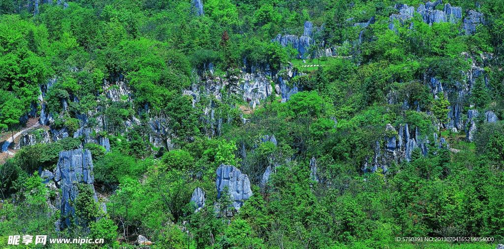 石林全景