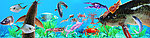 海底世界 海草 龙虾