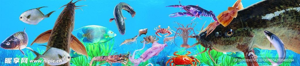 海底世界 海草 龙虾