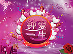 情人节