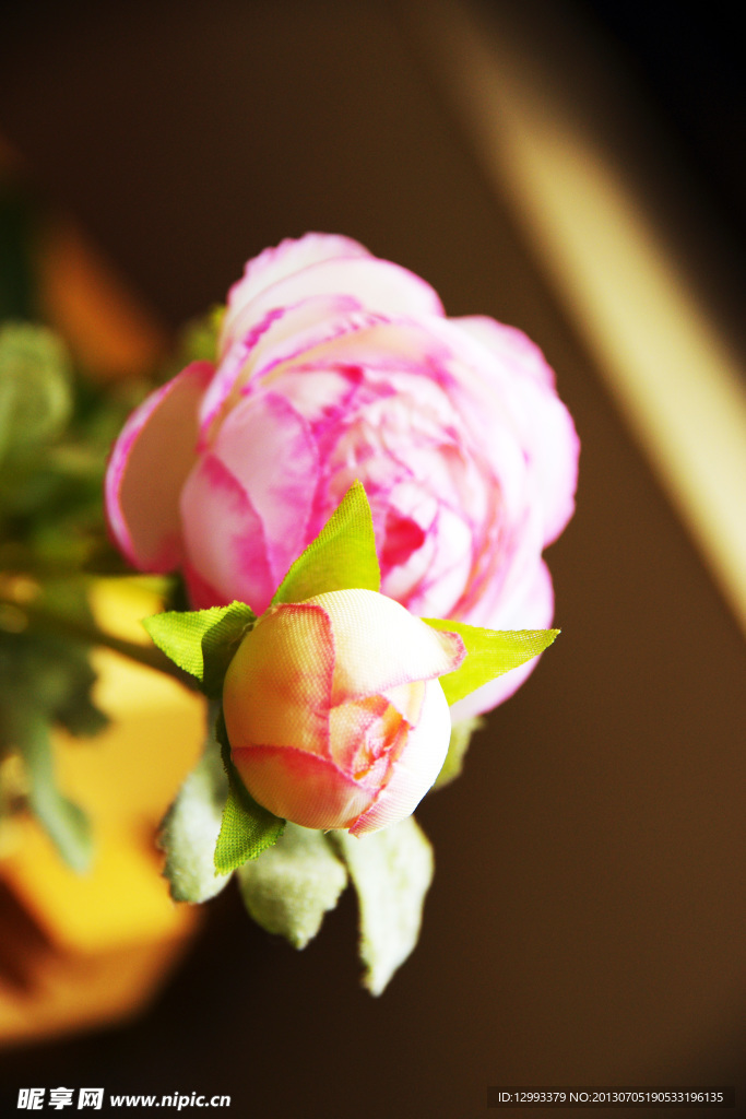鲜花