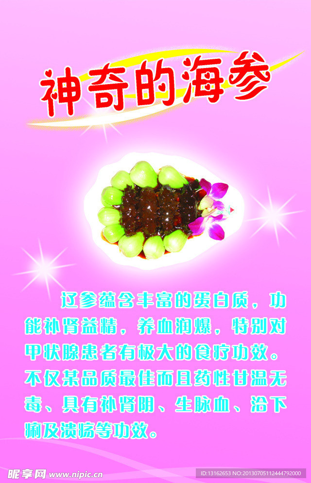 海参彩页