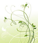 绿色花纹