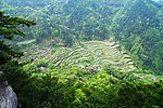 梯田
