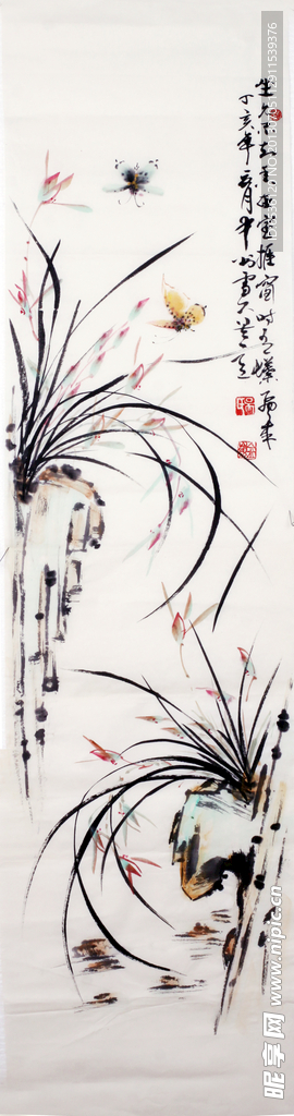兰花